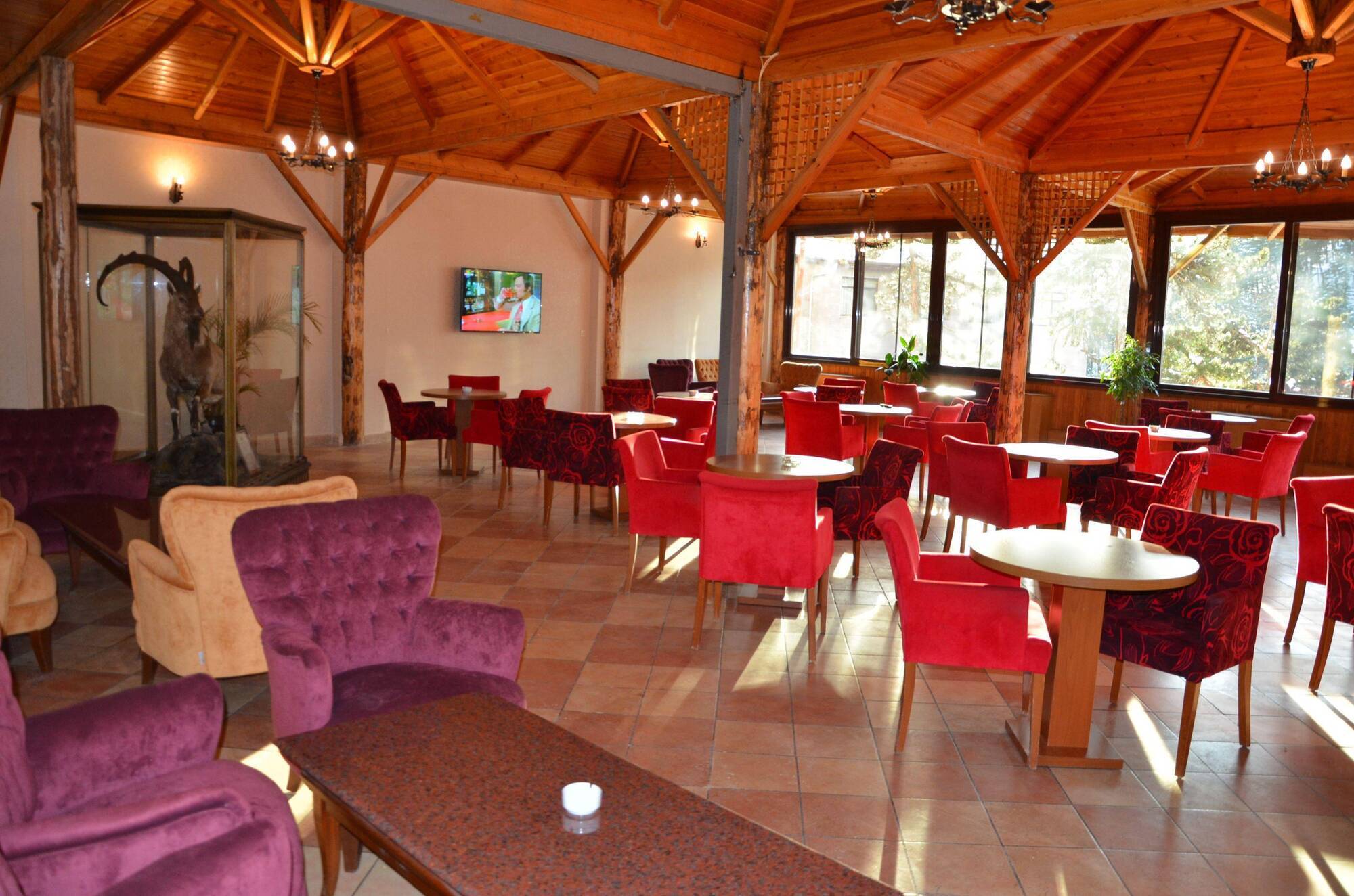 Patalya Thermal Resort Hotel Kızılcahamam エクステリア 写真